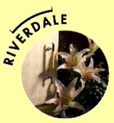 Riverdale Kitchen